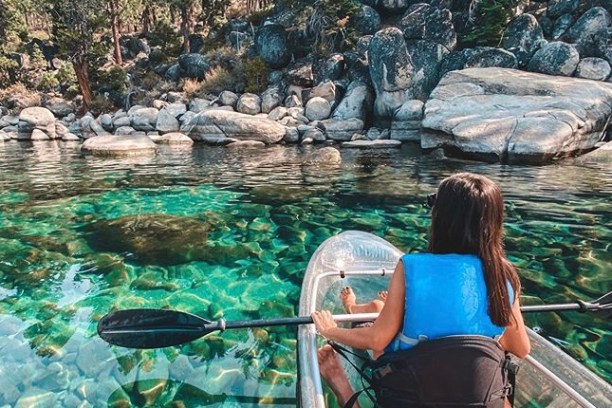 a person sitting in a tree