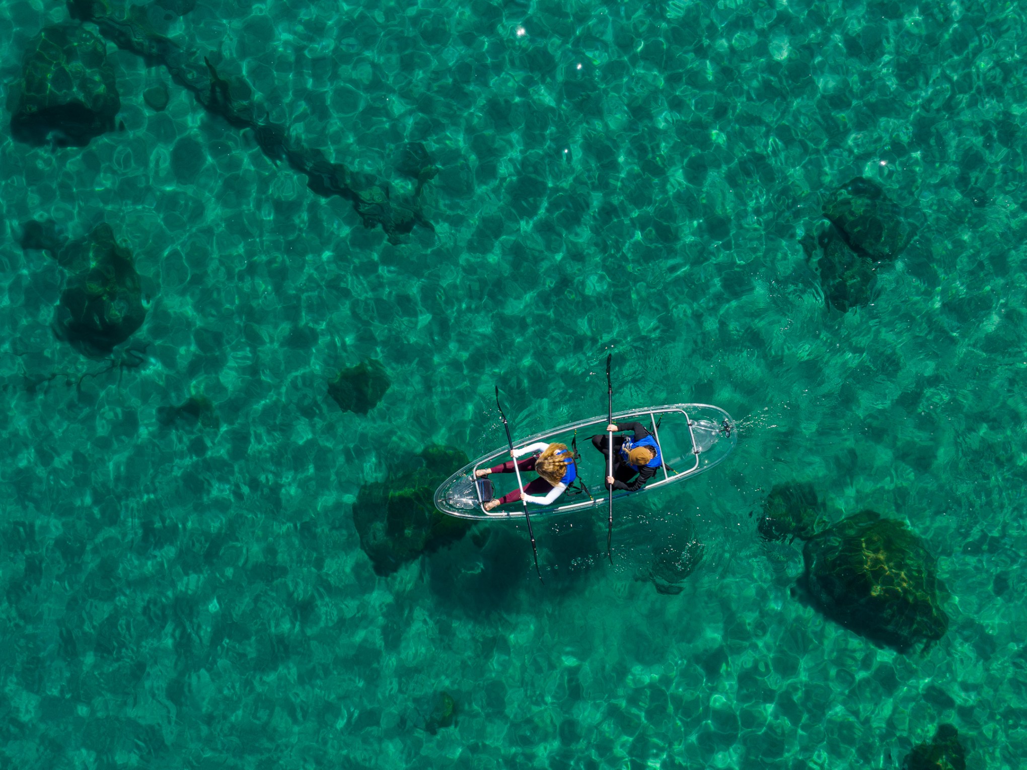 a turtle swimming under water