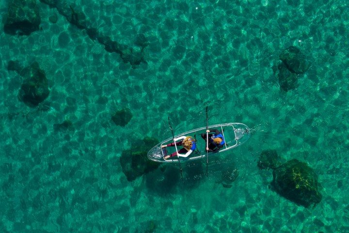 a turtle swimming under water