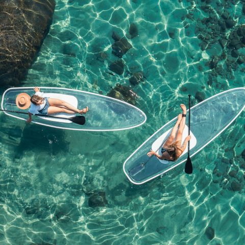 a turtle swimming under water