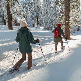 a man is cross country skiing on a snow covered slope