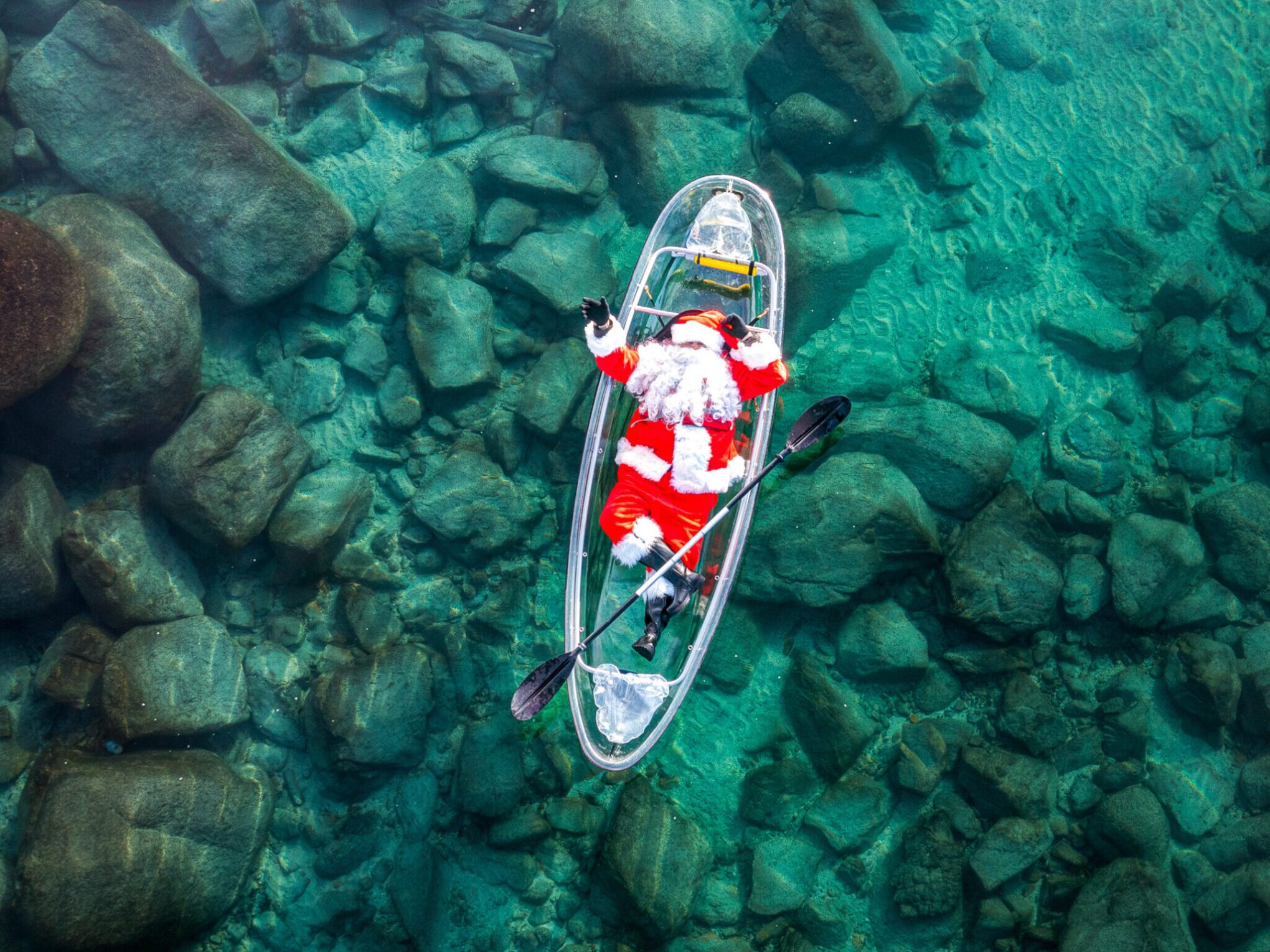a close up of a underwater