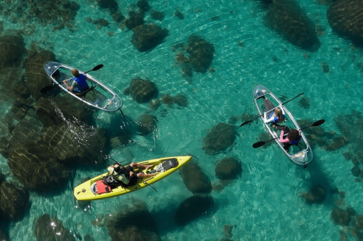 a group of people swimming in a pool of water