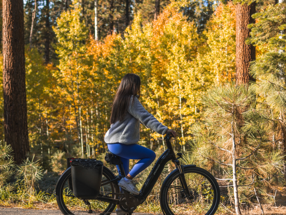a person riding a bicycle in front of a forest