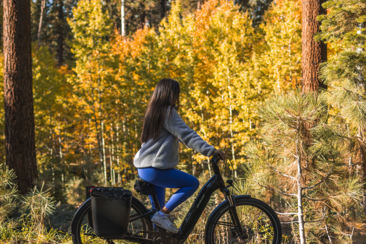 a person riding a bicycle in front of a forest