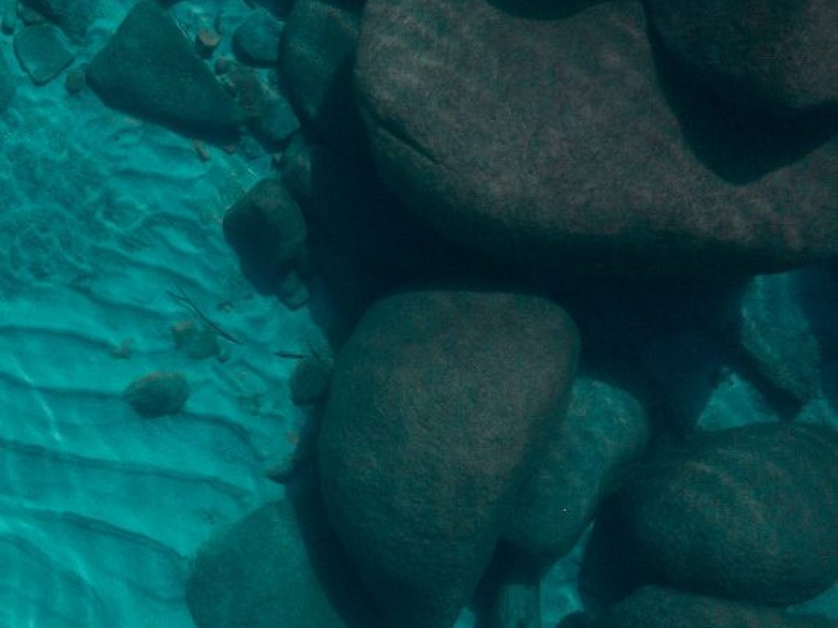a teddy bear sitting in the water
