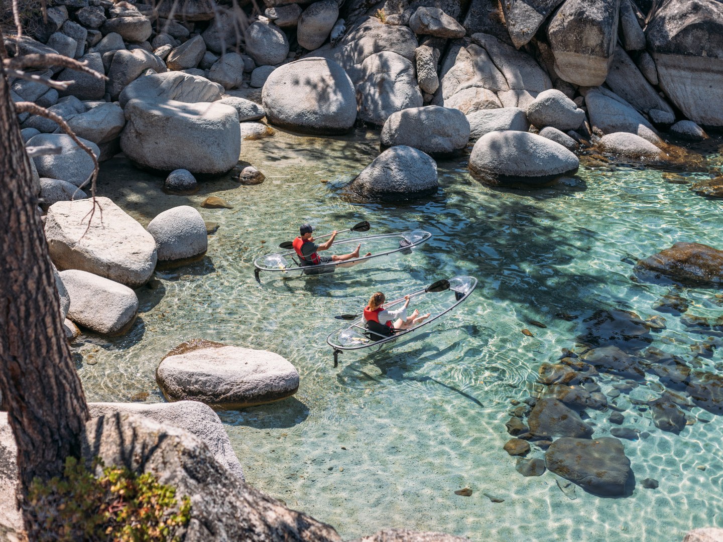 a close up of a rock near the ocean