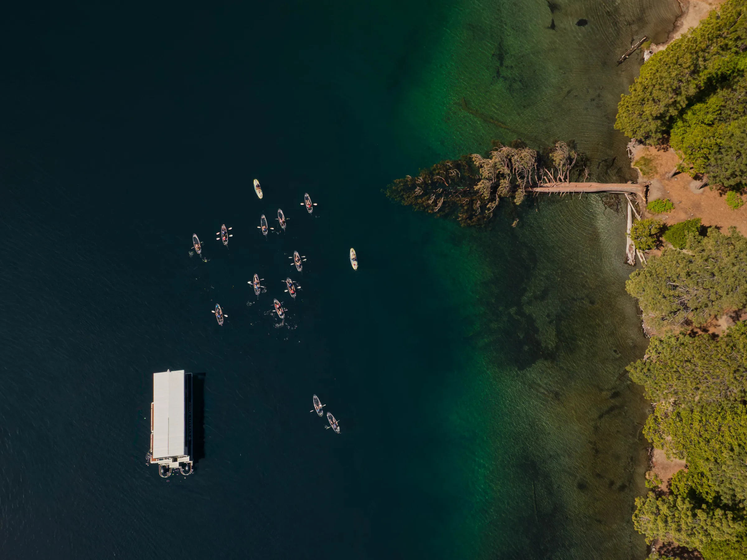 Aerial view of kayakers near a dock and trees on a lake.