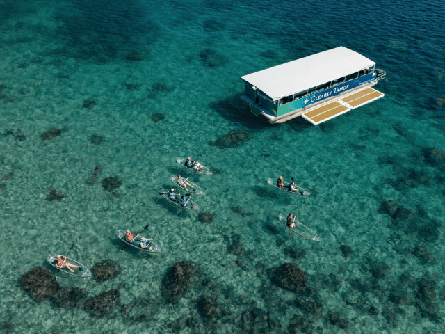 Aerial view of people kayaking in clear kayaks near a boat on turquoise water.