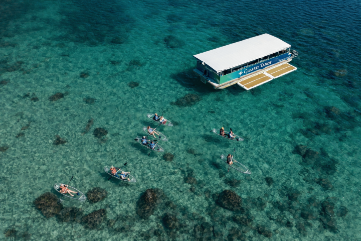 Aerial view of people kayaking in clear kayaks near a boat on turquoise water.