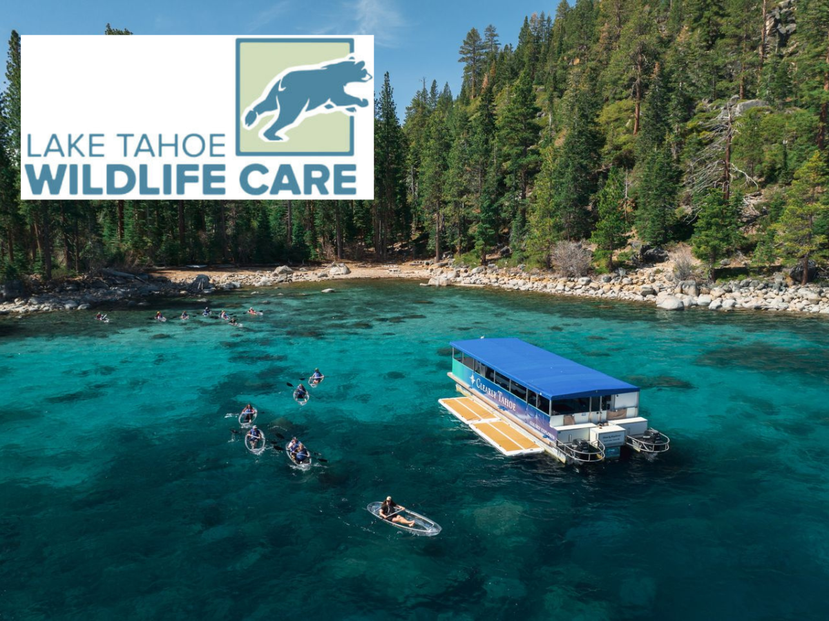 A boat and kayakers on Lake Tahoe with trees and logo in the corner.