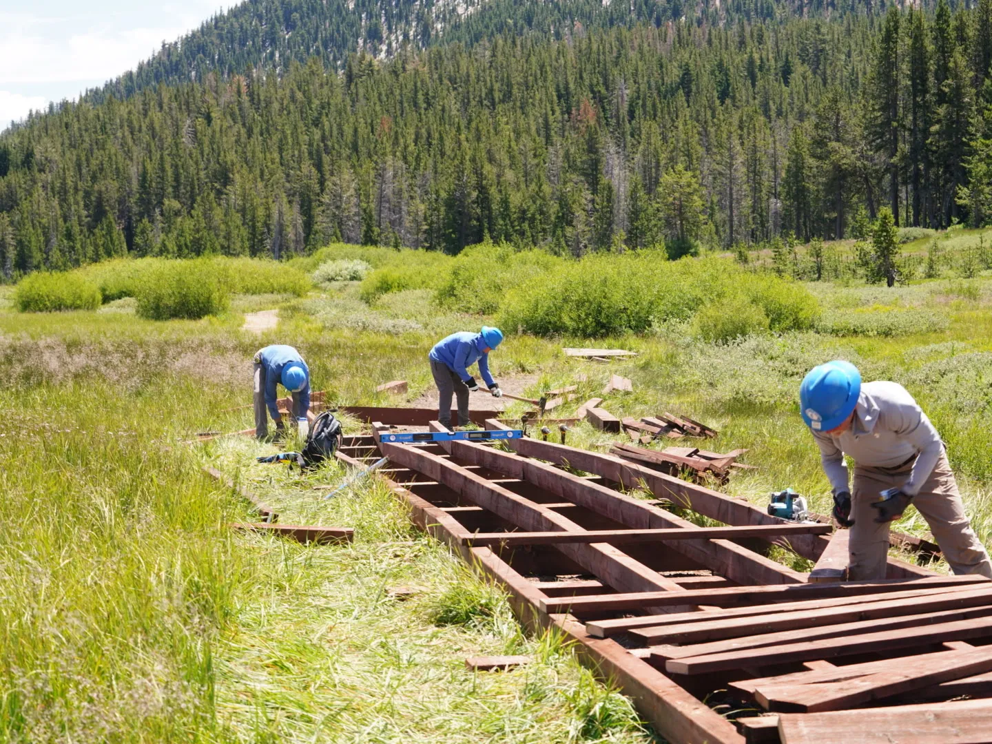 Workers in blue helmets build wooden structure in grassy field with forested hills in background.