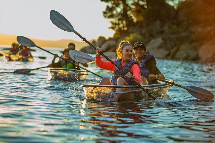 People kayaking in transparent kayaks on a sunny lake.