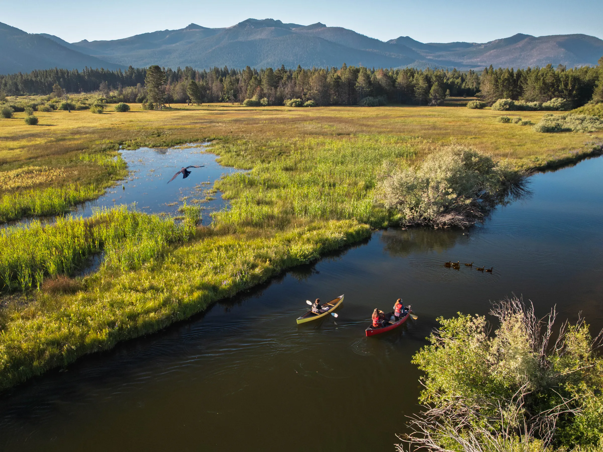 Two canoes on a river in a scenic valley with mountains in the background.