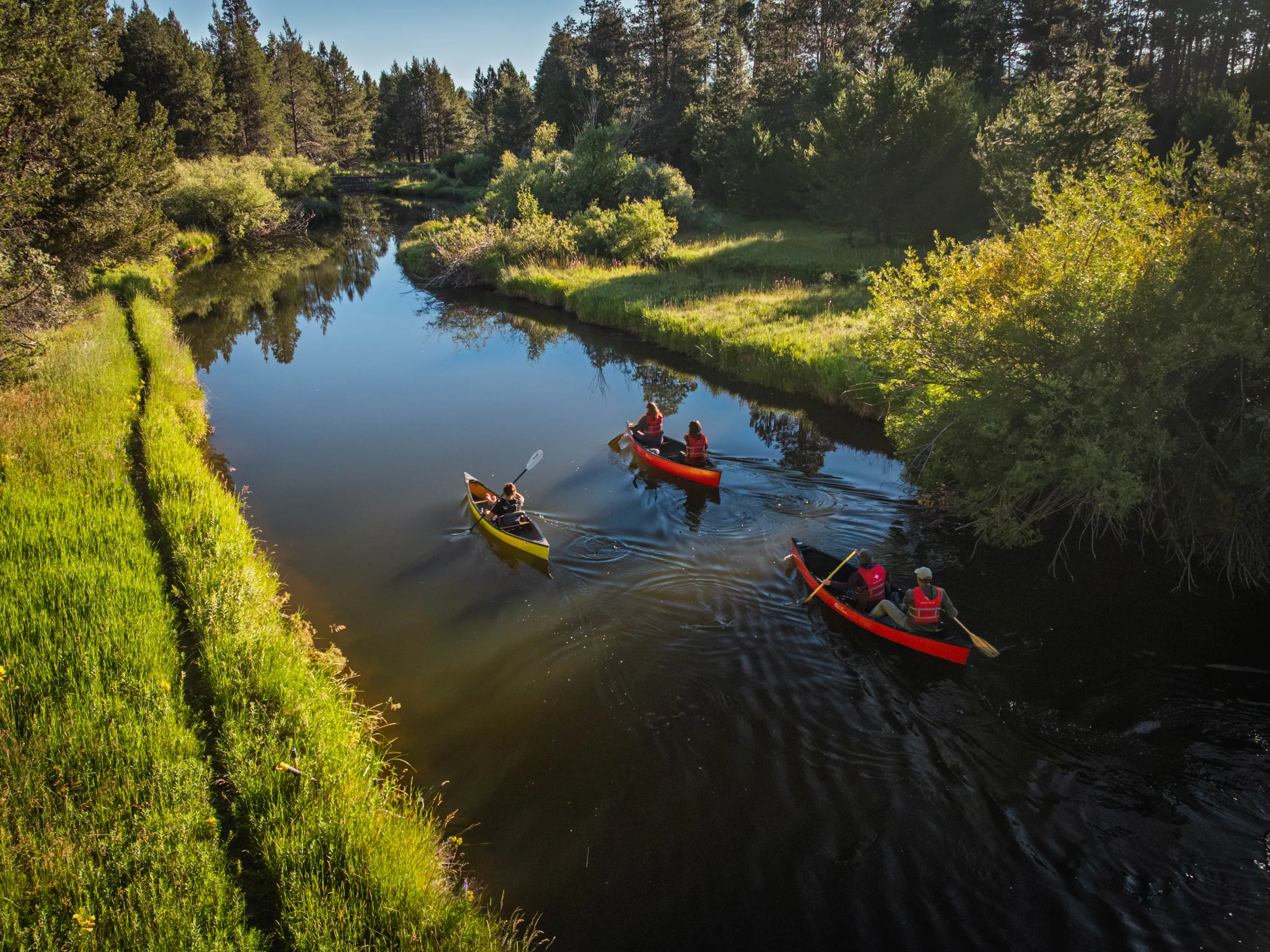 Four people kayaking on a tranquil forest river.