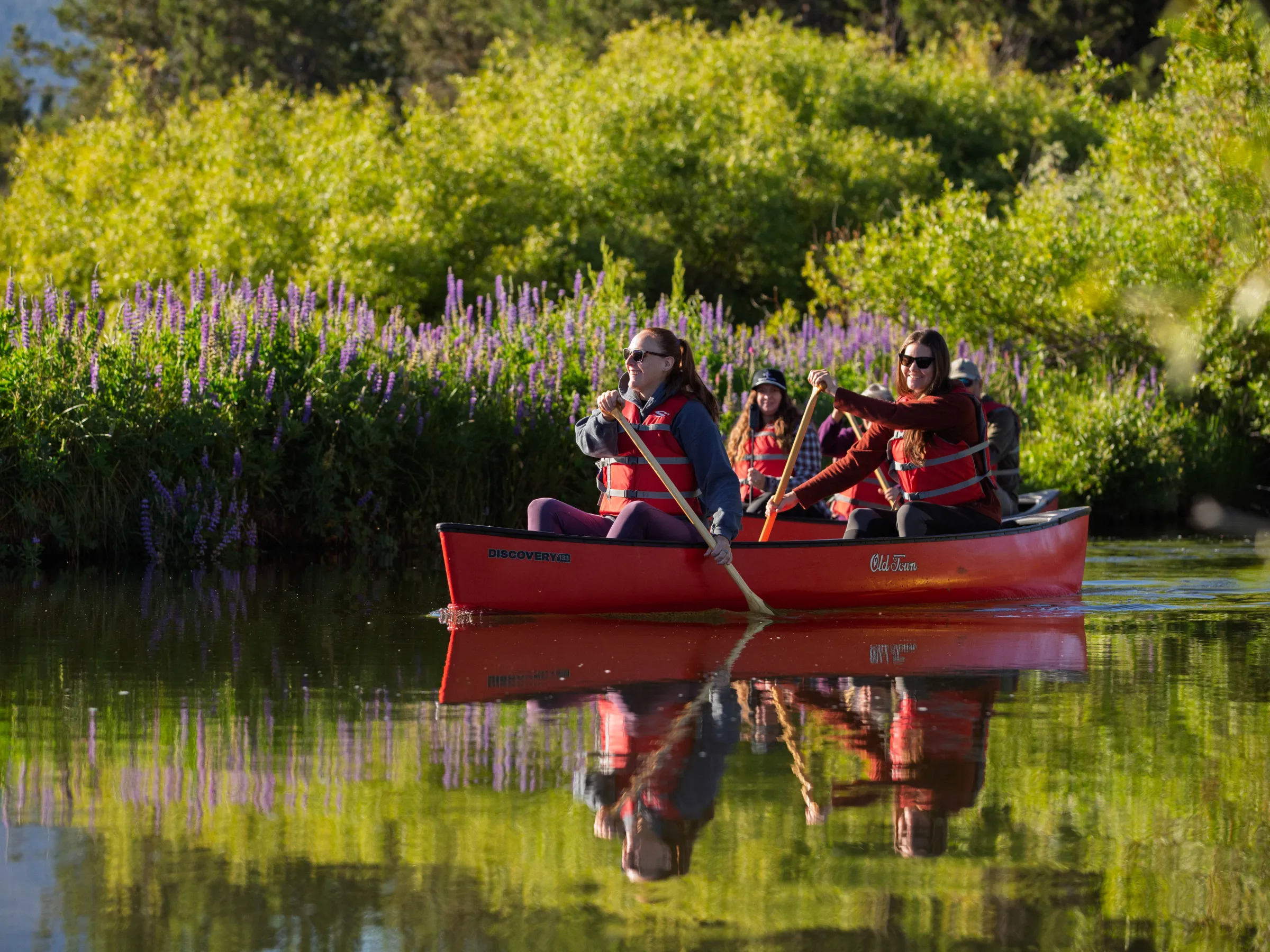 Group canoeing on calm water near green bushes and purple flowers.
