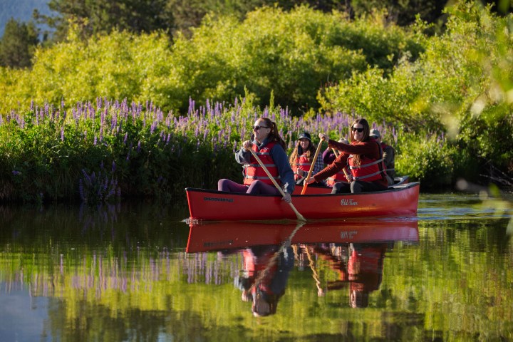 Group canoeing on calm water near green bushes and purple flowers.