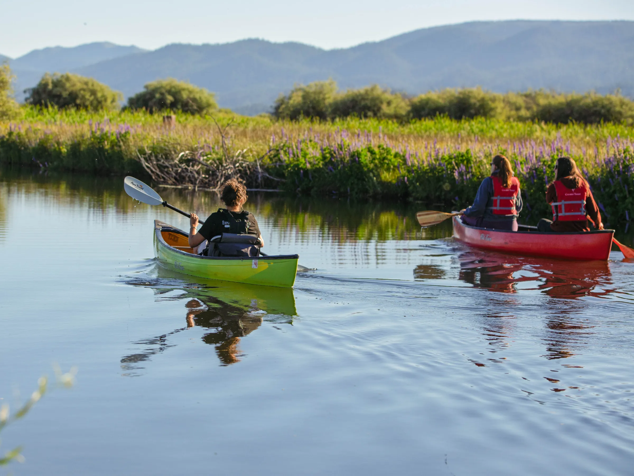 Two canoes with people paddling on a lake, surrounded by greenery and mountains.