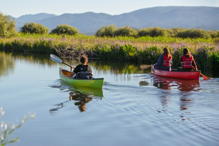 Two canoes with people paddling on a lake, surrounded by greenery and mountains.