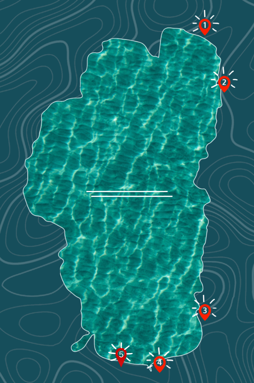 Stylized map of a lake with numbered points and contour lines.