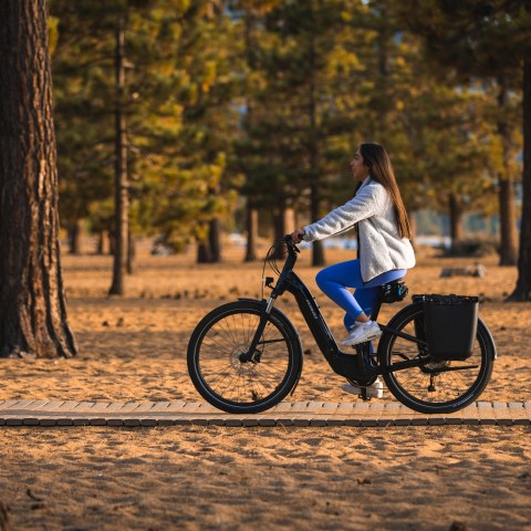 Person rides an electric bike through a forested area in autumn.