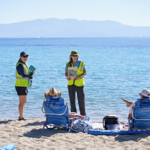 Researchers in vests observe beachgoers relaxing on chairs by the sea.