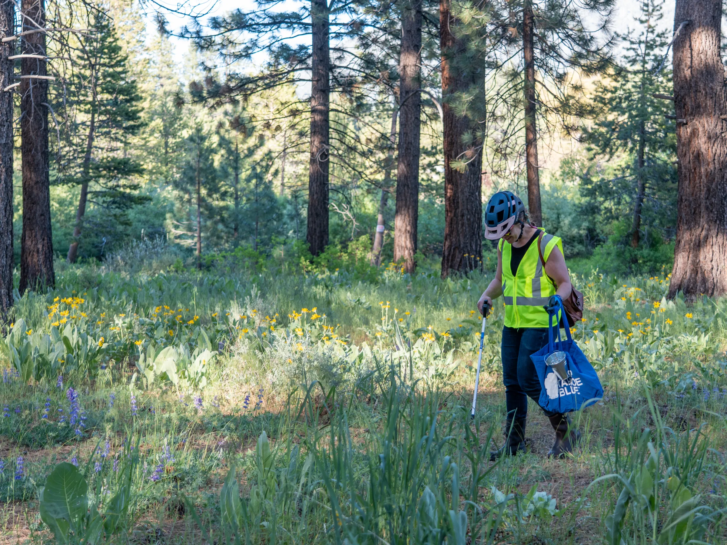 Person in a high-visibility vest picking up trash in a forest clearing.