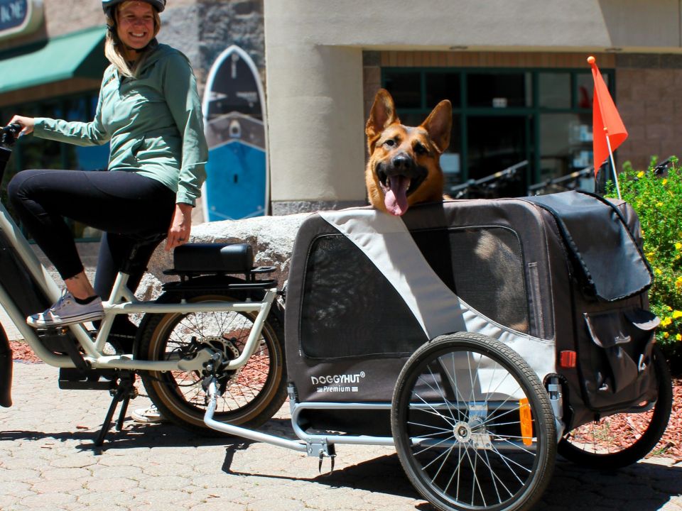 Woman on a bike with a dog in a sidecar trailer on a sunny day.