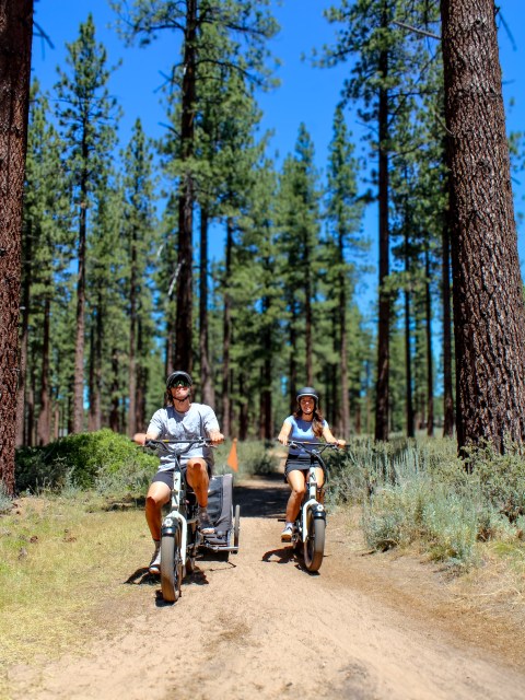 Two people riding scooters on a forest trail with tall trees.