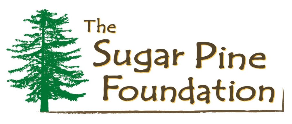 Logo with a green pine tree and text: 'The Sugar Pine Foundation'.