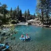 People floating on rubber rings in a forest lake under clear blue skies.