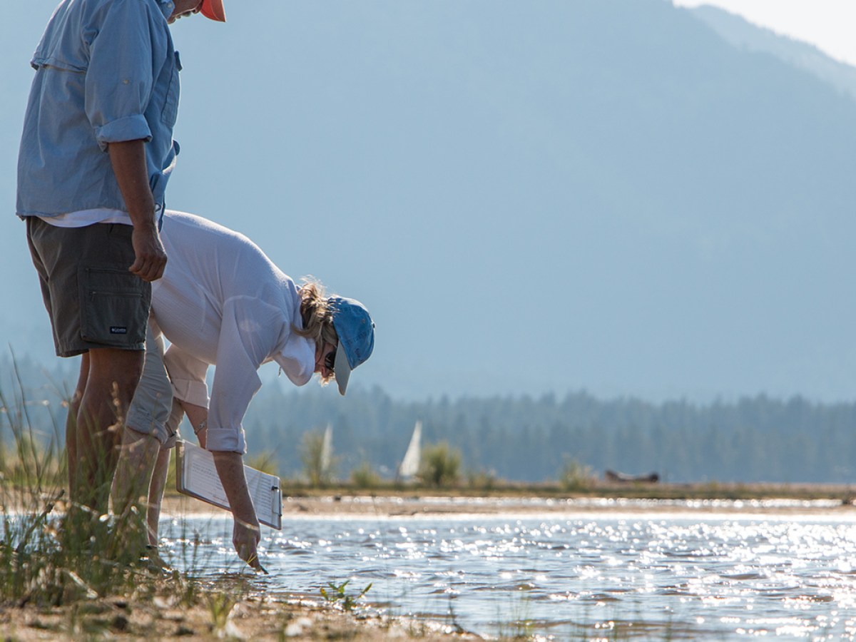 Two people examining water edge on a sunny lakeshore with mountains in the background.