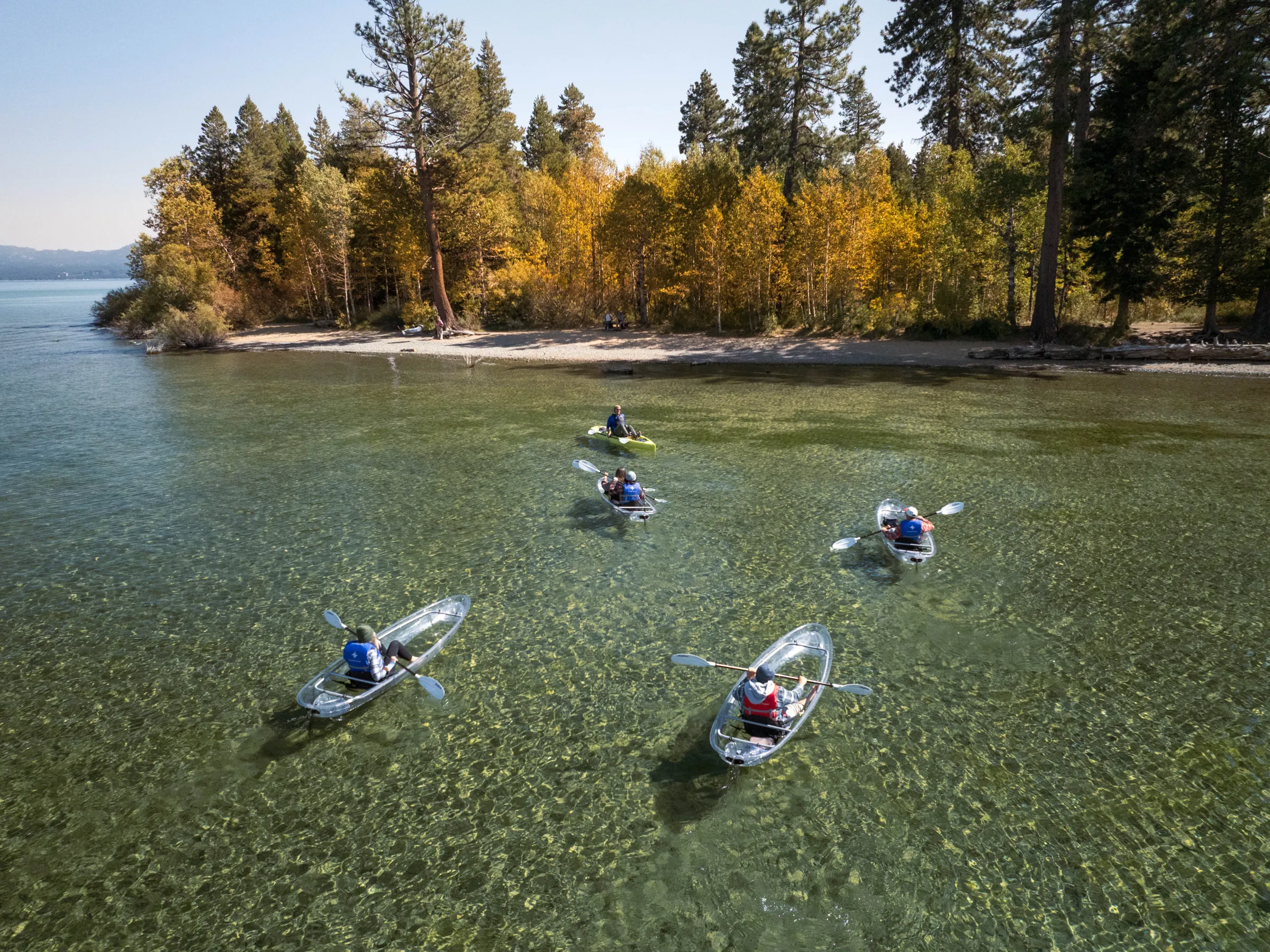 People kayaking on clear water near a forested shoreline.