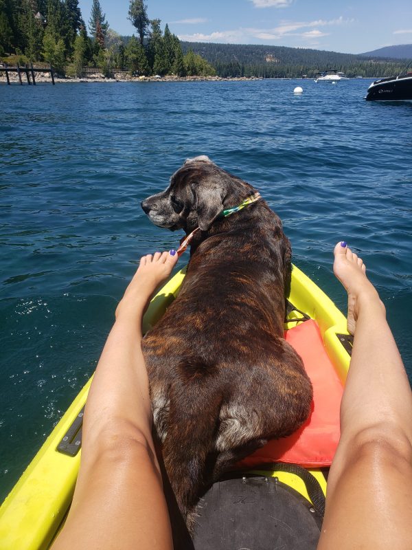 Person and dog on kayak in lake, surrounded by trees and mountains.