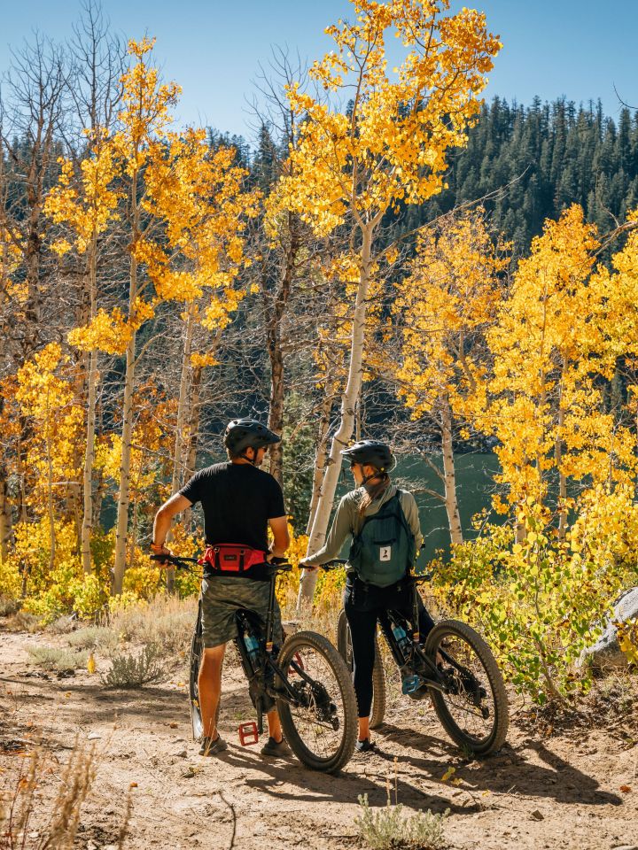 Two cyclists on forest trail with vibrant yellow autumn trees.